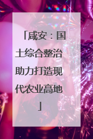 咸安：国土综合整治助力打造现代农业高地