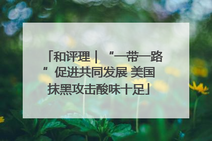 和评理｜“一带一路”促进共同发展 美国抹黑攻击酸味十足