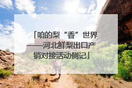 咱的梨“香”世界——河北鲜梨出口产销对接活动侧记