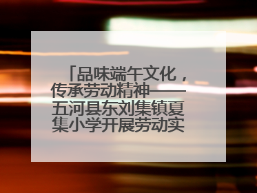品味端午文化，传承劳动精神——五河县东刘集镇夏集小学开展劳动实践教育活动