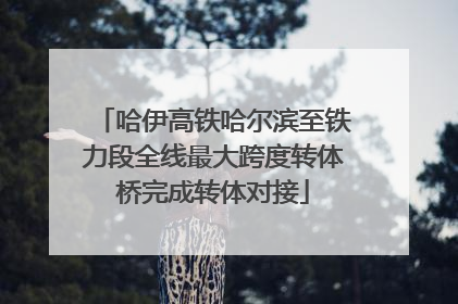 哈伊高铁哈尔滨至铁力段全线最大跨度转体桥完成转体对接