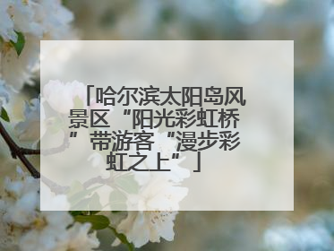 哈尔滨太阳岛风景区“阳光彩虹桥”带游客“漫步彩虹之上”