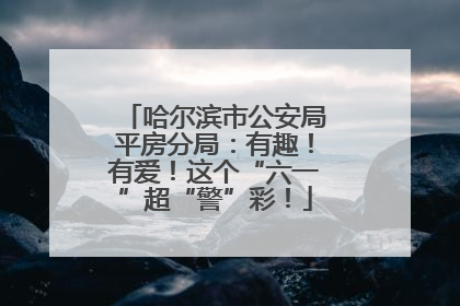 哈尔滨市公安局平房分局：有趣！有爱！这个“六一”超“警”彩！