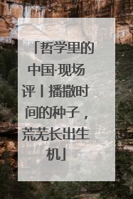 哲学里的中国·现场评丨播撒时间的种子，荒芜长出生机
