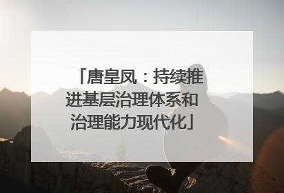 唐皇凤：持续推进基层治理体系和治理能力现代化