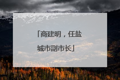 商建明，任盐城市副市长