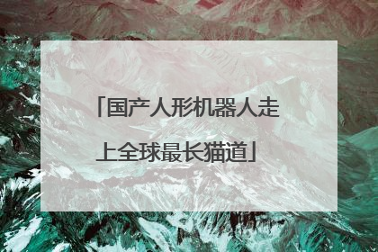 国产人形机器人走上全球最长猫道