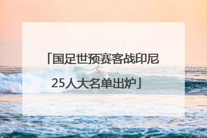 国足世预赛客战印尼25人大名单出炉