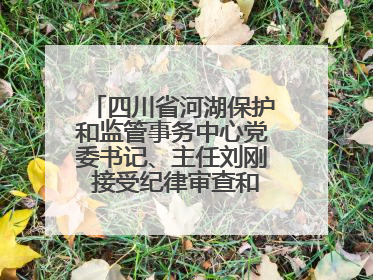 四川省河湖保护和监管事务中心党委书记、主任刘刚 接受纪律审查和监察调查