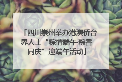 四川崇州举办港澳侨台界人士“粽情端午·粽香同庆”迎端午活动