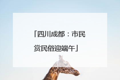 四川成都：市民赏民俗迎端午