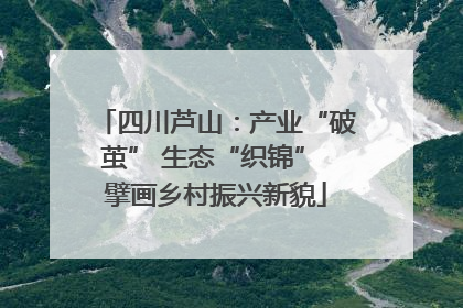 四川芦山：产业“破茧” 生态“织锦” 擘画乡村振兴新貌
