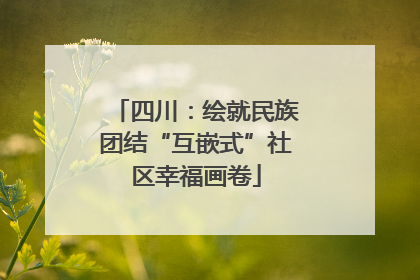 四川：绘就民族团结“互嵌式”社区幸福画卷