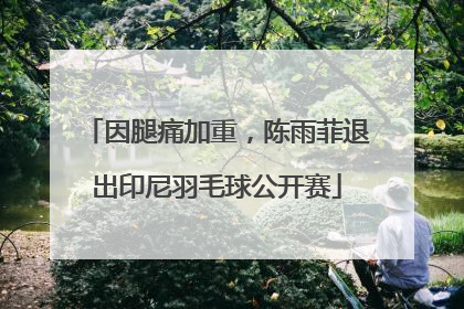 因腿痛加重，陈雨菲退出印尼羽毛球公开赛