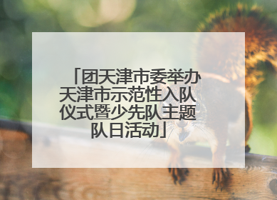 团天津市委举办天津市示范性入队仪式暨少先队主题队日活动