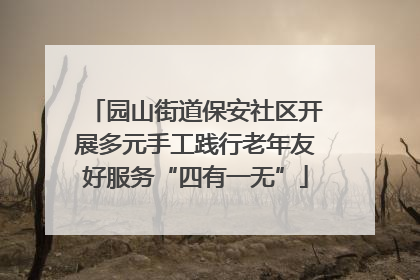园山街道保安社区开展多元手工践行老年友好服务“四有一无”