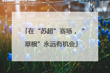 在“苏超”赛场，“草根”永远有机会