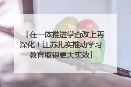 在一体推进学查改上再深化！江苏扎实推动学习教育取得更大实效