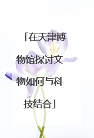 在天津博物馆探讨文物如何与科技结合