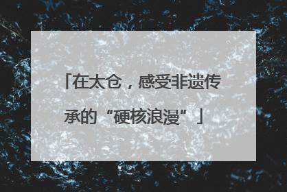 在太仓，感受非遗传承的“硬核浪漫”