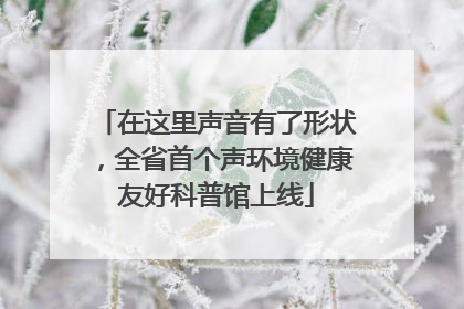 在这里声音有了形状，全省首个声环境健康友好科普馆上线