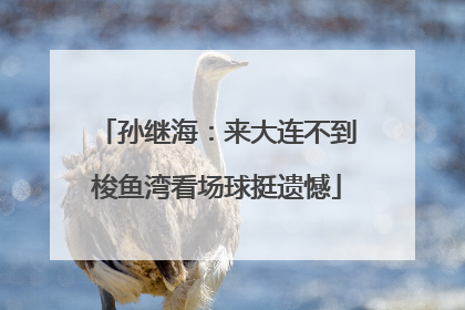 孙继海：来大连不到梭鱼湾看场球挺遗憾