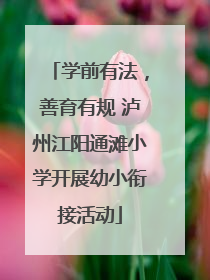 学前有法，善育有规 泸州江阳通滩小学开展幼小衔接活动