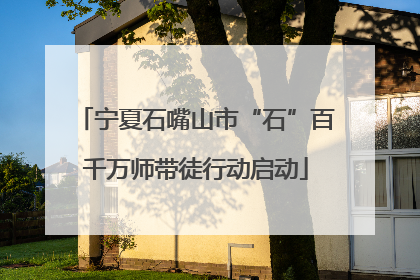 宁夏石嘴山市“石”百千万师带徒行动启动