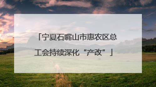 宁夏石嘴山市惠农区总工会持续深化“产改”
