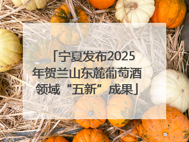 宁夏发布2025年贺兰山东麓葡萄酒领域“五新”成果