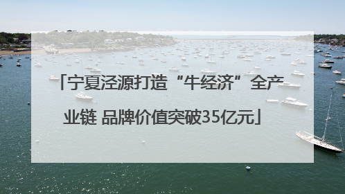 宁夏泾源打造“牛经济”全产业链 品牌价值突破35亿元