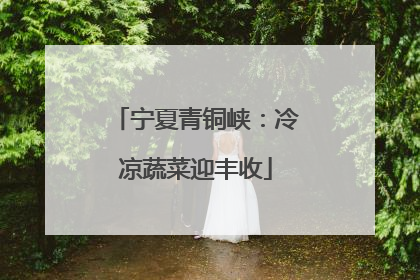 宁夏青铜峡：冷凉蔬菜迎丰收