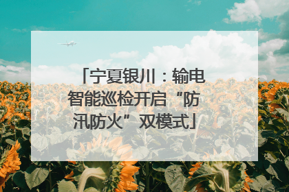 宁夏银川：输电智能巡检开启“防汛防火”双模式