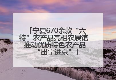宁夏670余款“六特”农产品亮相农展馆 推动优质特色农产品“出宁进京”