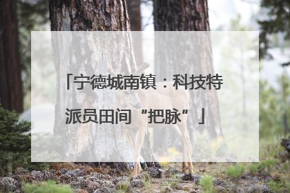 宁德城南镇：科技特派员田间“把脉”