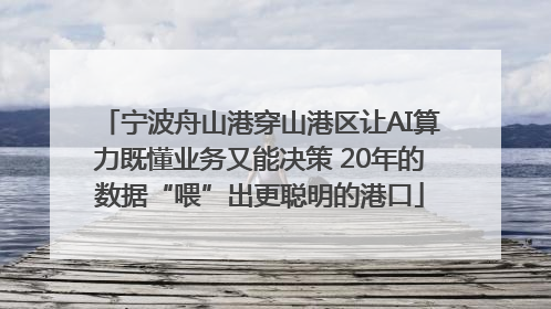 宁波舟山港穿山港区让AI算力既懂业务又能决策 20年的数据“喂”出更聪明的港口
