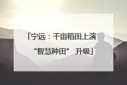 宁远：千亩稻田上演 “智慧种田” 升级