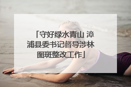 守好绿水青山 漳浦县委书记督导涉林图斑整改工作