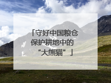 守好中国粮仓 保护耕地中的“大熊猫”