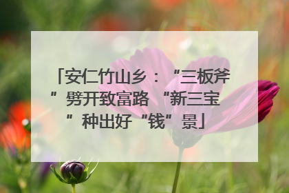 安仁竹山乡：“三板斧”劈开致富路 “新三宝”种出好“钱”景