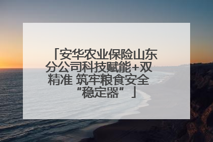 安华农业保险山东分公司科技赋能+双精准 筑牢粮食安全“稳定器”