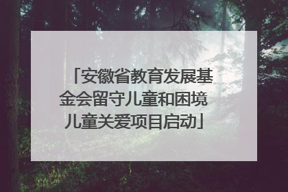 安徽省教育发展基金会留守儿童和困境儿童关爱项目启动