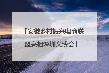 安徽乡村振兴电商联盟亮相深圳文博会