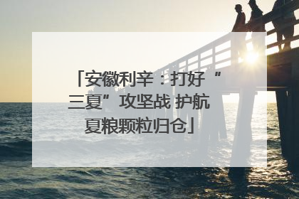 安徽利辛：打好“三夏”攻坚战 护航夏粮颗粒归仓