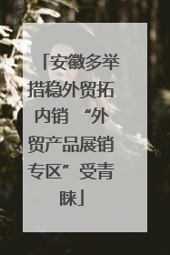 安徽多举措稳外贸拓内销 “外贸产品展销专区”受青睐