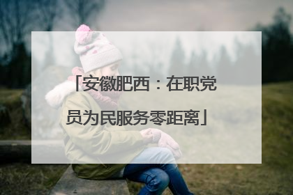 安徽肥西：在职党员为民服务零距离