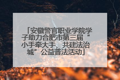 安徽警官职业学院学子助力合肥市第三届“小手牵大手、共建法治城”公益普法活动