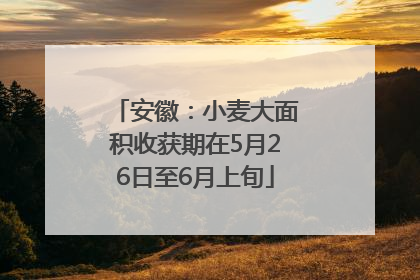 安徽：小麦大面积收获期在5月26日至6月上旬