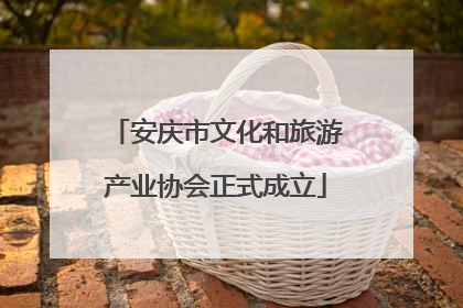 安庆市文化和旅游产业协会正式成立