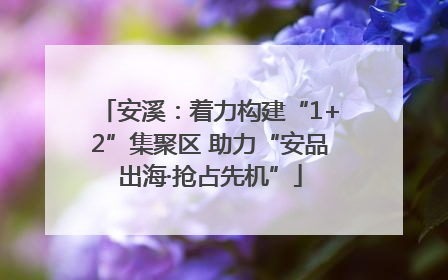 安溪：着力构建“1+2”集聚区 助力“安品出海·抢占先机”
